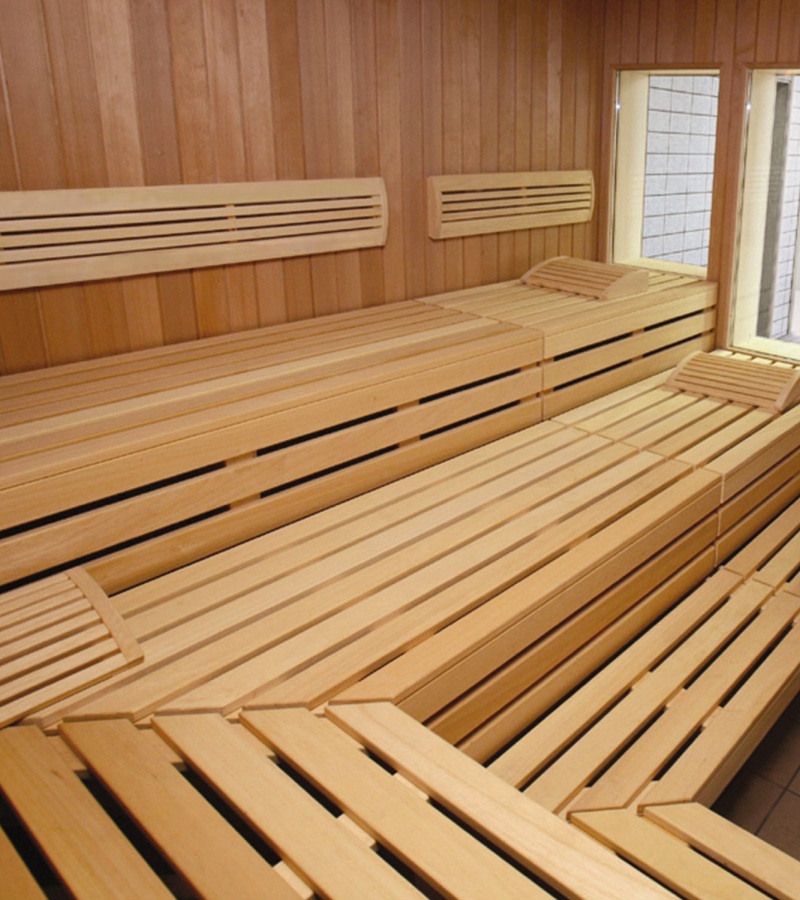 Professional saunas