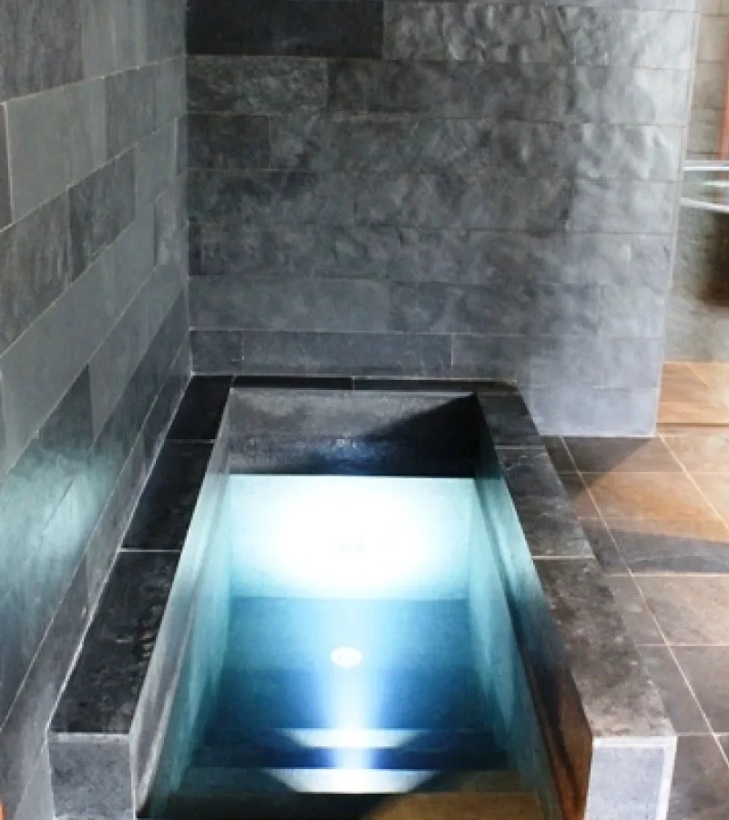 Cold Water Treatment: High-End Immersion Plunge Pool Design