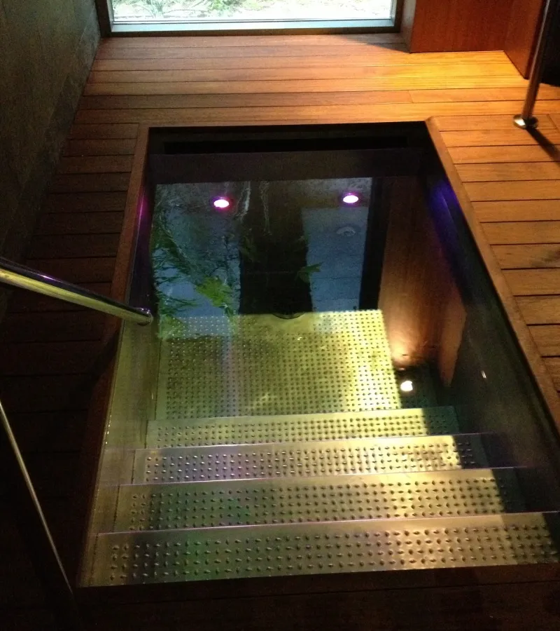 Cold Water Treatment: High-End Immersion Plunge Pool Design